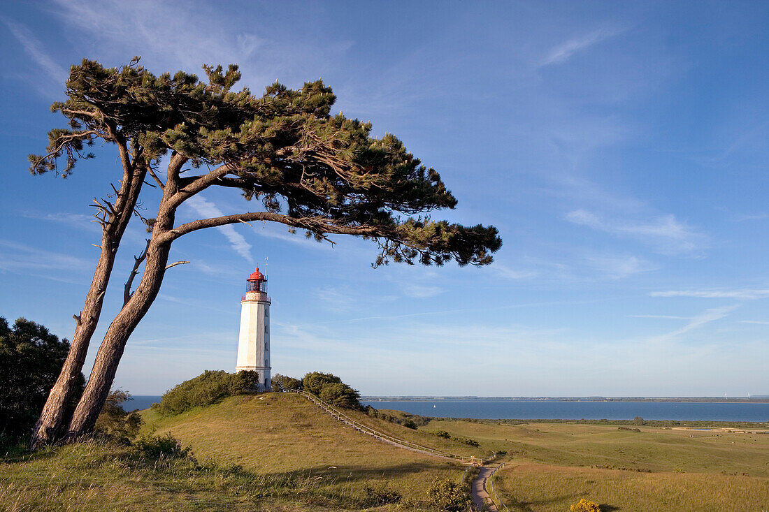 Leuchtturm auf dem Dornbusch, Hiddensee, Mecklenburg-Vorpommern, Deutschland