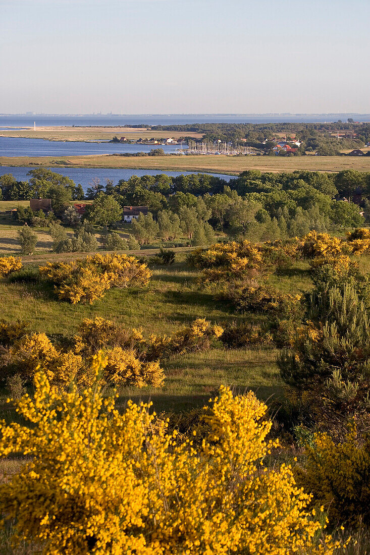 Blick vom Dornbusch, Hiddensee, Ostsee, Mecklenburg-Vorpommern, Deutschland