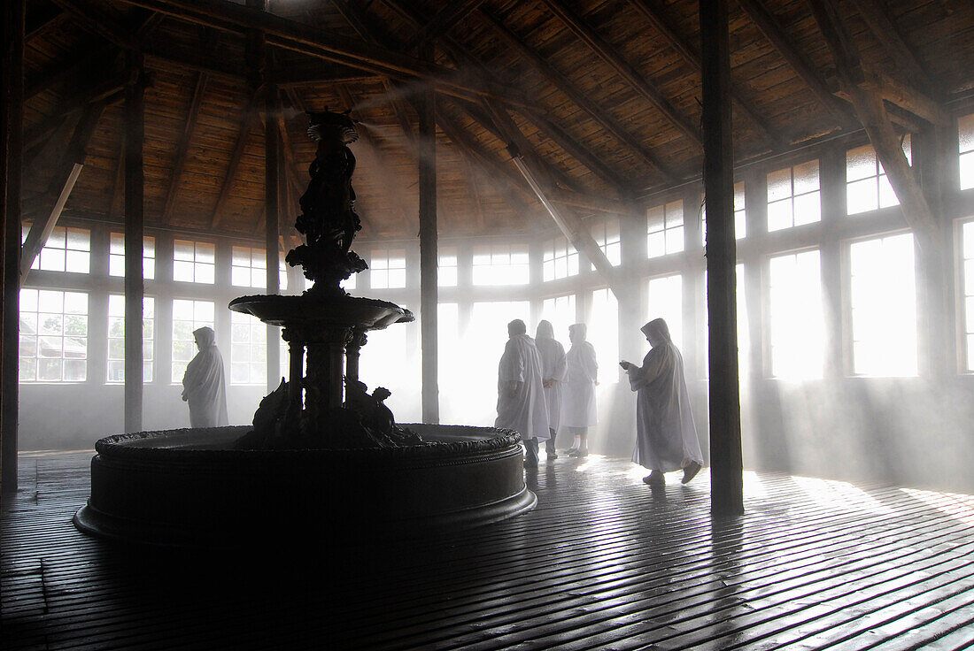 Inhalationsbrunnen, Gradierwerk in der Kuranlage, Bad Salzungen, Thüringen, Deutschland