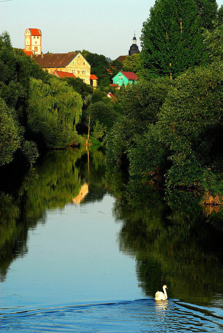 Tranquill river Werra with swan near Breitungen, Thuringia, Germany