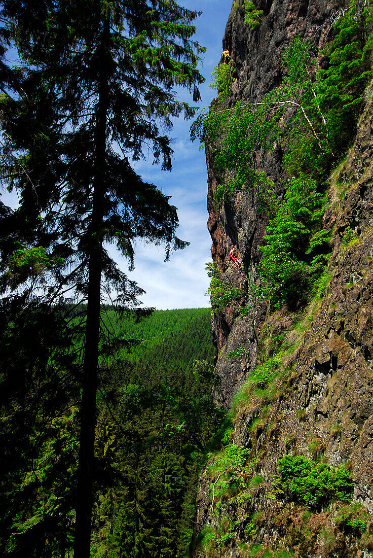 Kletterer am Falkenstein am Rennsteig, Thüringer Wald, Thüringen, Deitschland