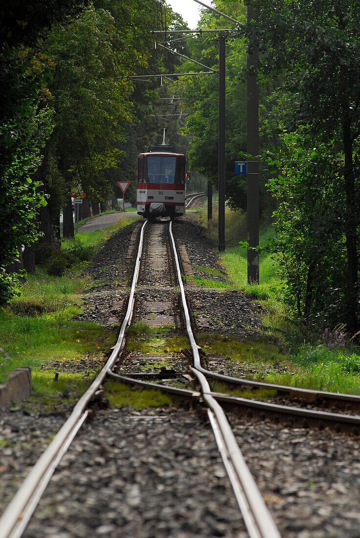 A train track running through the forest, Gotha Waldbahn, Tabarz, Thuringia, Germany