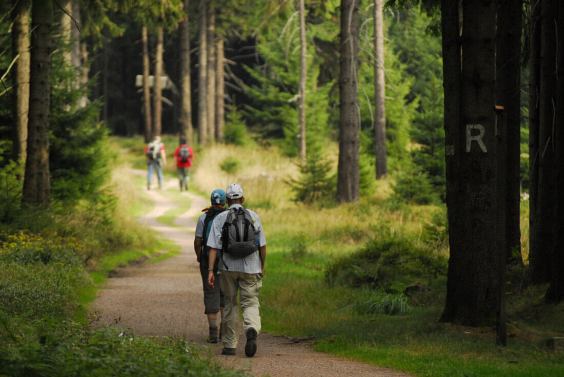 A couple on a hike through the forest, Rennsteig near Oberhof, Thuringia, Germany