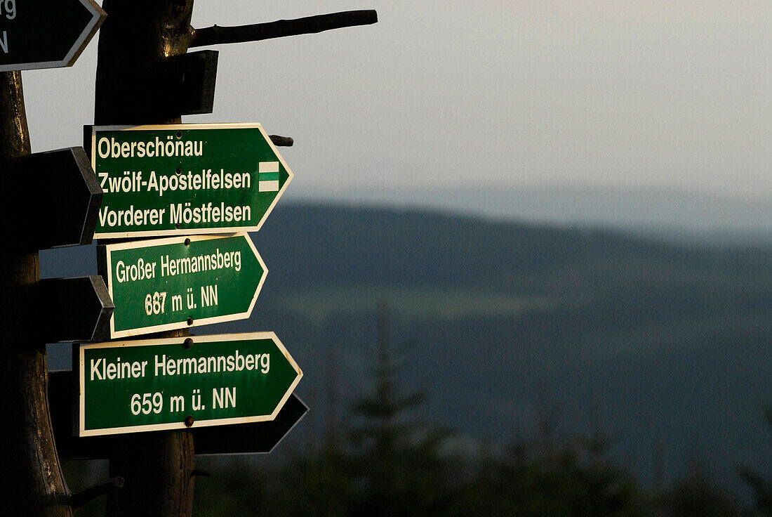 Wegweiser auf der Hohen Möst, Rennsteig bei Oberhof, Thüringen, Deutschland