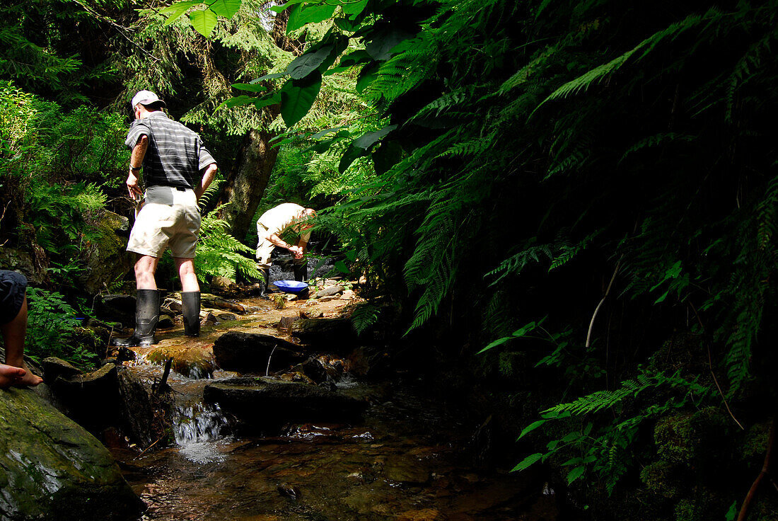 Ein Mann beim Goldwaschen im Neumannsgrund, Steinheid-Neumannsgrund, Thüringen, Deutschland