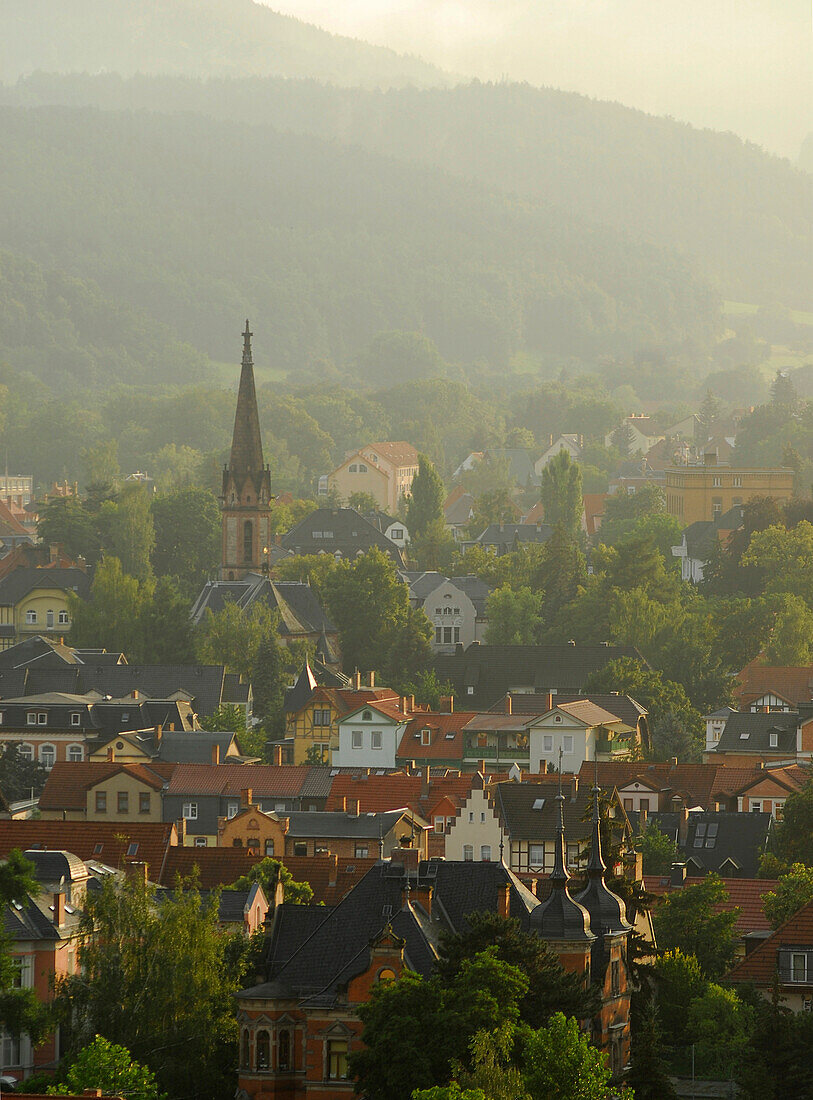 Blick über die Altstadt mit Lutherkirche, Rudolstadt, Thüringen, Deutschland