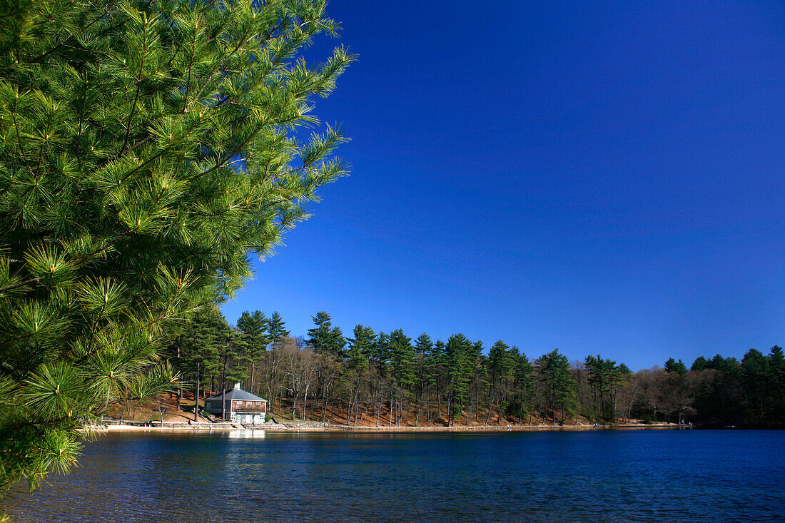 View of Walden Pond, Lincoln, Massachusetts, USA