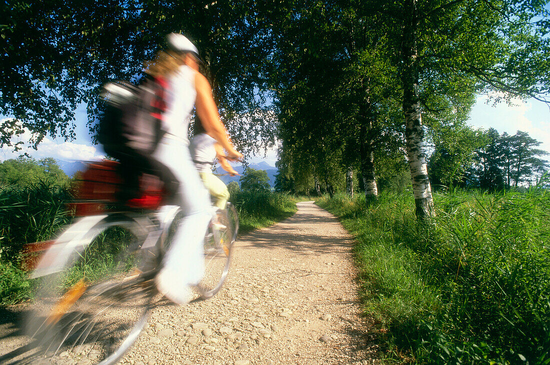 Two young women on bicycles touring the Chiemsee lake shore, birch avenue, Chiemgau, Upper Bavaria, Germany