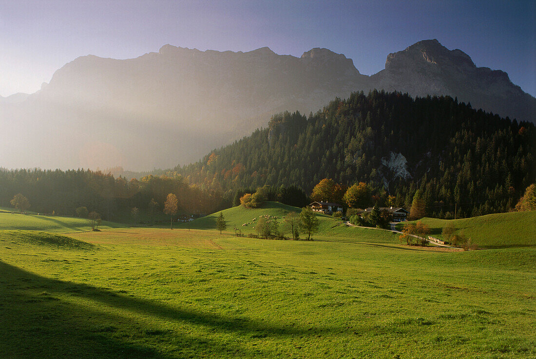 Blick über Weide auf Reiter Alp, Ramsau-Antenbichl, Berchtesgadener Land, Bayern, Deutschland