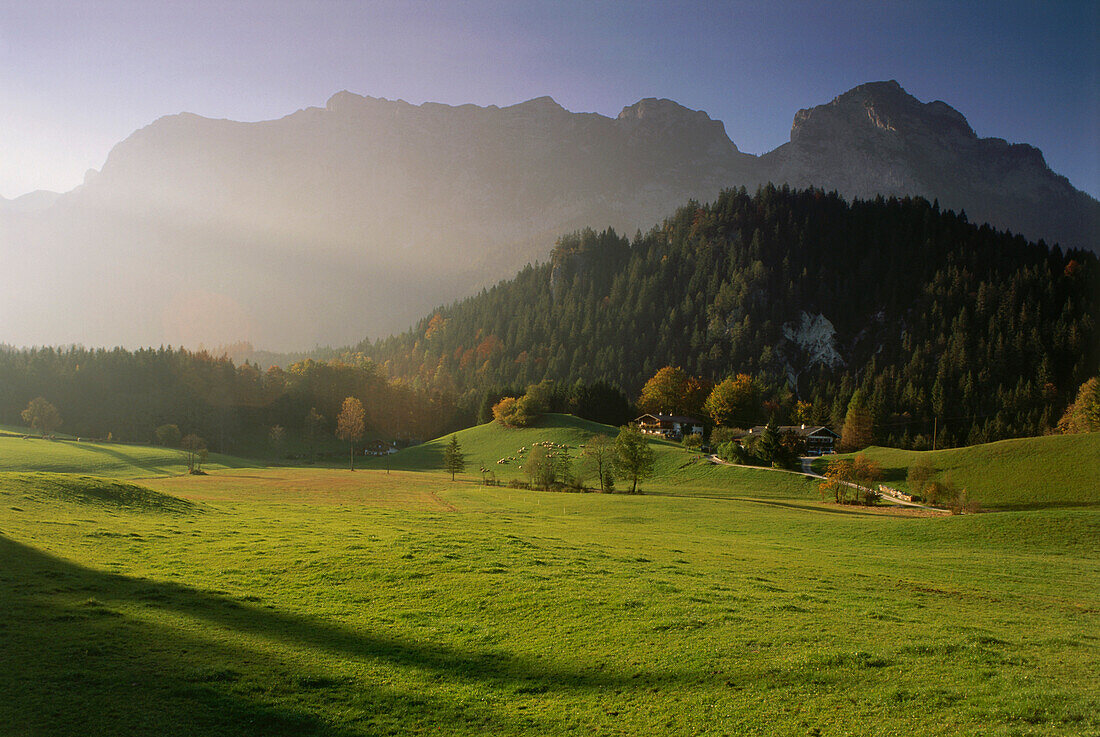 View over pasture to Reiter Alpe massif, Ramsau-Antenbichl, Berchtesgadener Land, Bavaria, Germany