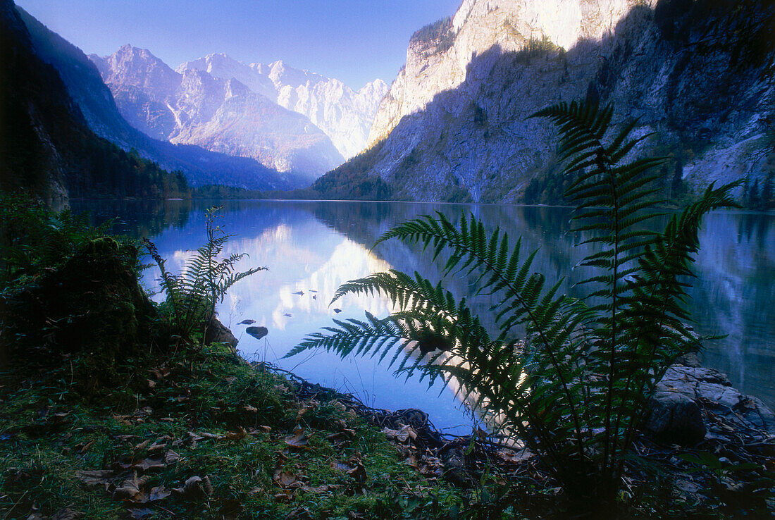 Reflection of Watzmann massif on lake Obersee, Berchtesgaden National Park, Bavaria, Germany