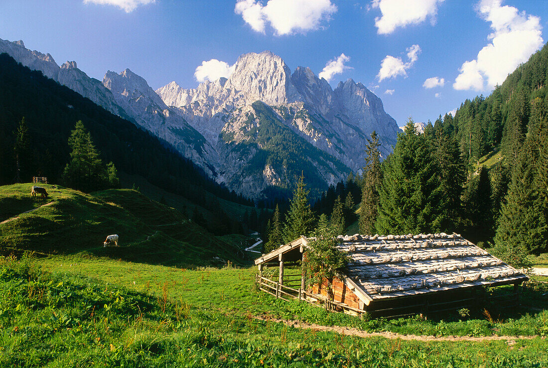 Almhütte auf Bindalm, Mühlsturzhörner im Hintergrund, Nationalpark Berchtesgaden, Bayern, Deutschland