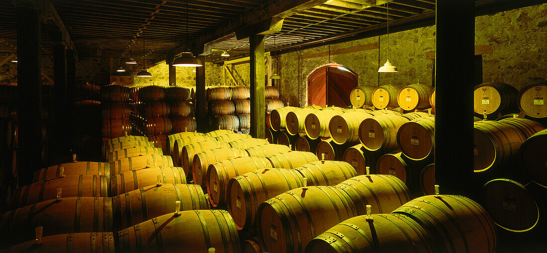 The Hess Collection Winery, near Napa, Napa Valley, California, USA, America