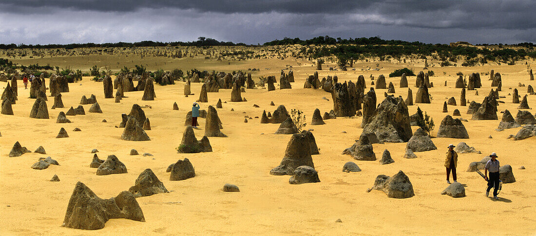 The Pinnacles near Perth, West Australia, Australia