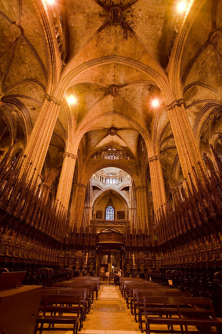 La Seu, Cathedral de Santa Eulalia, Barri Gotic, Ciutat Vella, Barcelona, Spanien