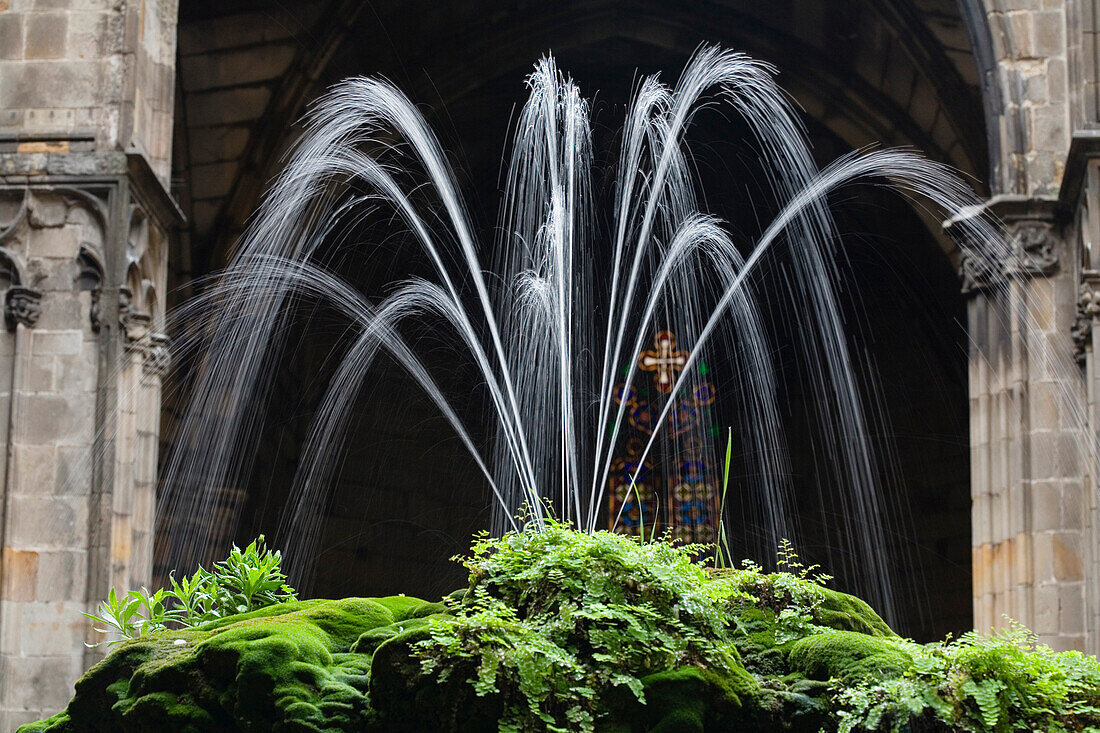 cloister, Claustro, La Seu, Cathedral de Santa Eulalia, Barri Gotic, Ciutat Vella, Barcelona, Spanien