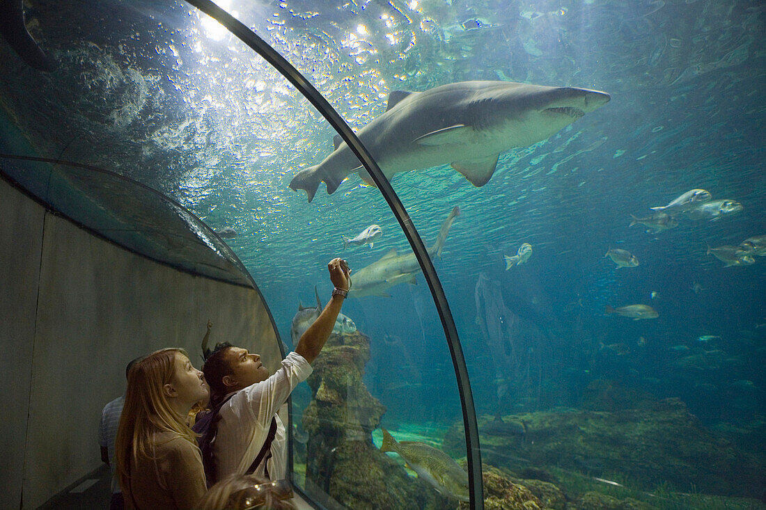 L Aquarium, Port Vell, harbour, Ciutat Vell, Barcelona, Spanien