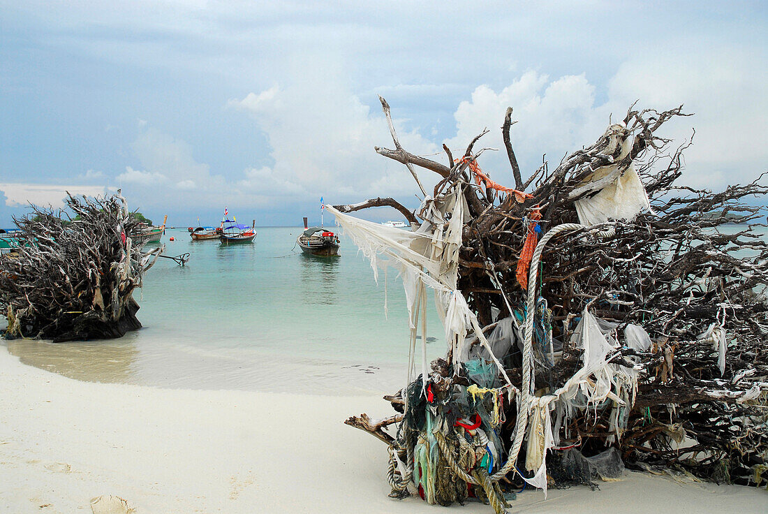 Entwurzelte Bäume am Strand beim Dorf, Ko Lipe, Satun, Thailand