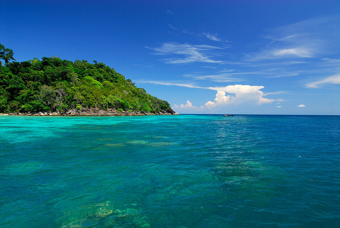 Corals in clear blue water and green island with jungle, Surin Islands Marine National Park, Ko Surin Noi, Phang Nga, Thailand