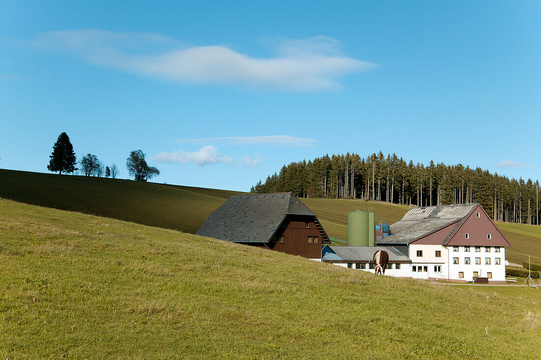 Modern Black Forest Farmhouse, near Schonach,  Black Forest, Baden Wuerttemberg,  Germany