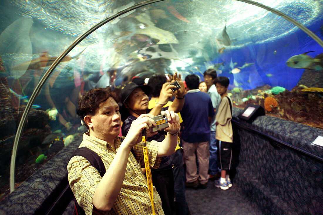 Besucher, Underwater World Aquarium, Sentosa Island, Singapur