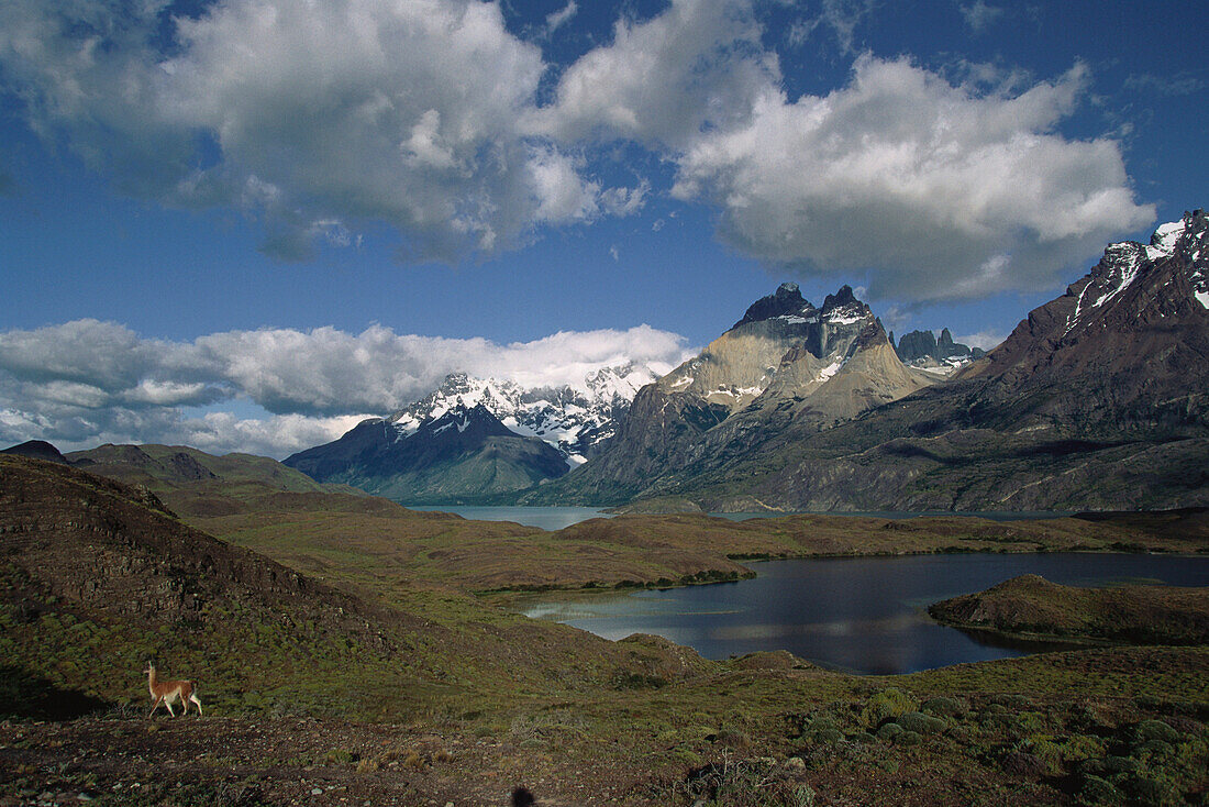 Paine Massiv, Torres del Paine National Park, Andes, Patagonia, Chile
