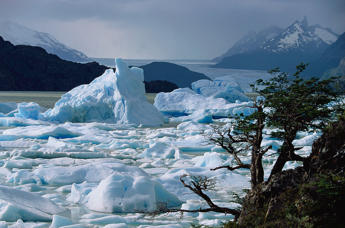 Grey Glacier, Torres del Paine National Park, Andes, Patagonia, Chile