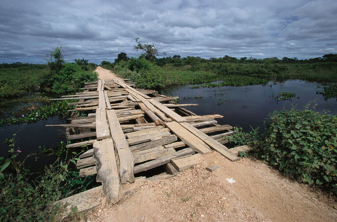 Holzbrücke, Transpantaneira, Pantanal, Mato Grosso, Brasilien