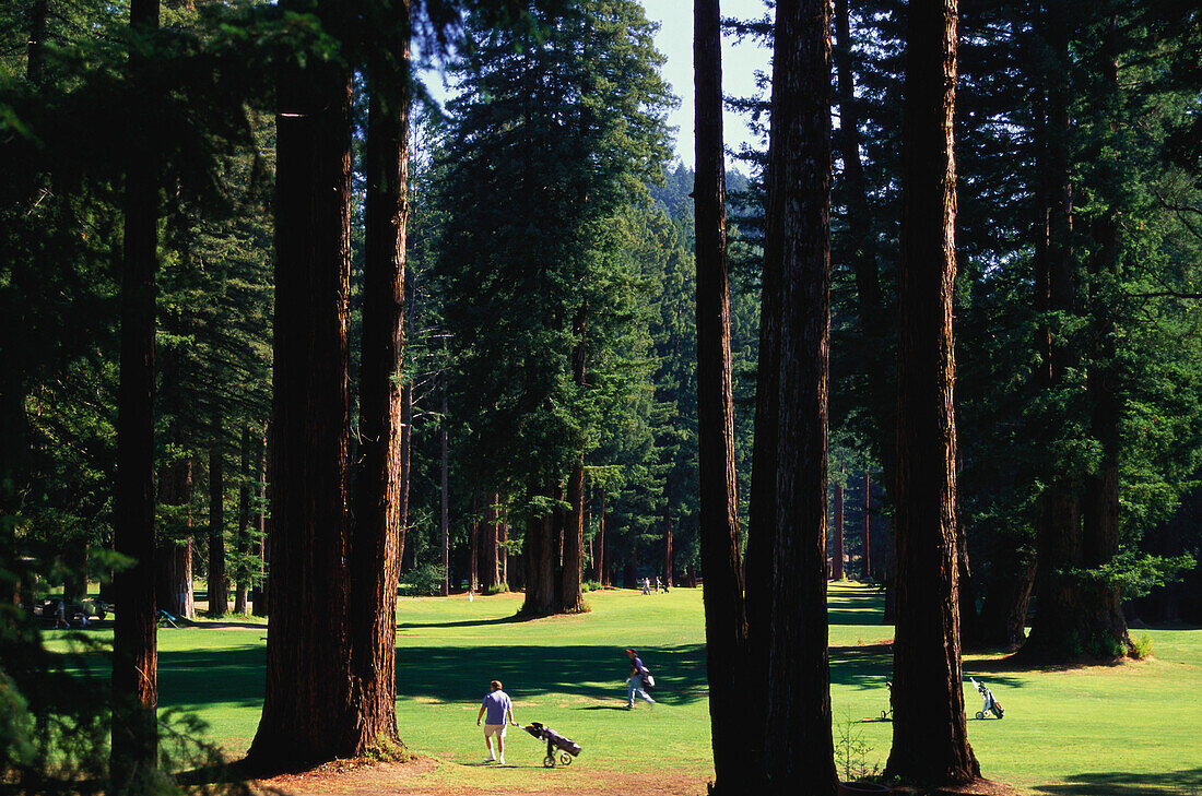 Northwood Golfplatz, Russian River Valley, Sonoma Country, Kalifornien, USA