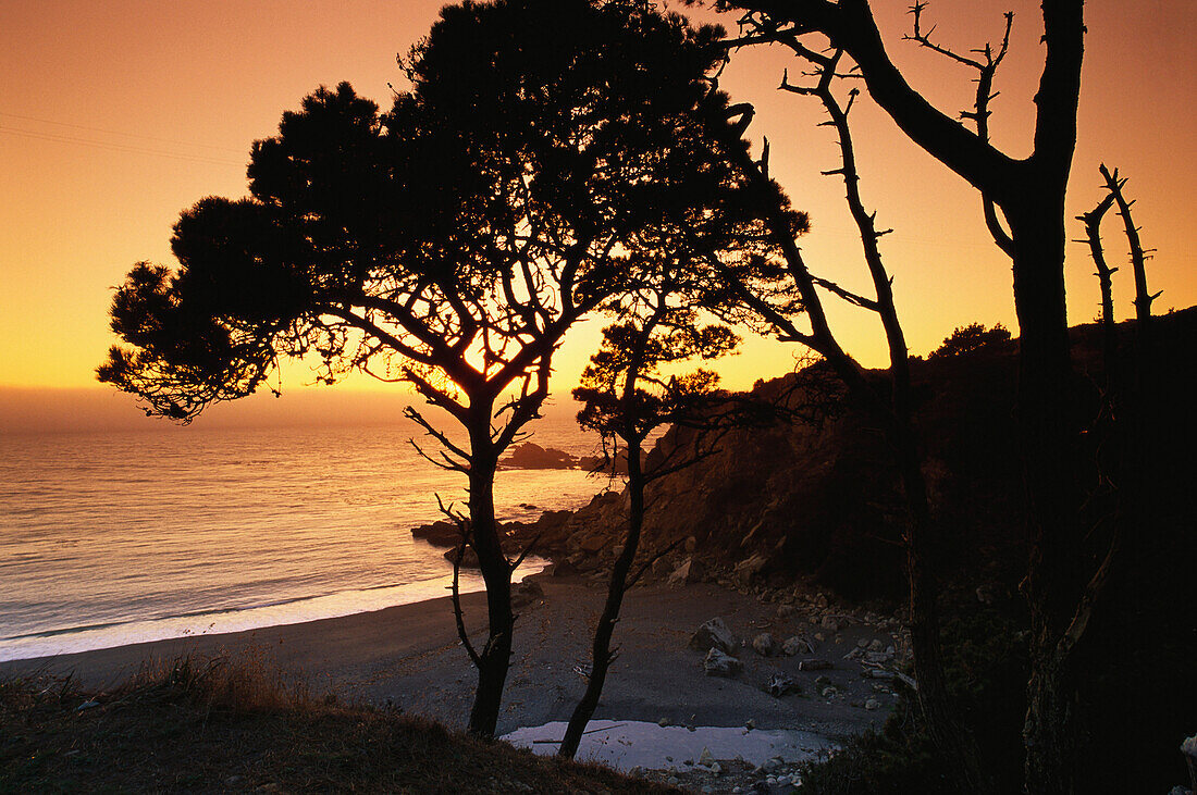 Coastal landscape at sunset, Fort Ross, Route No. 1, Sonoma Country, California, USA