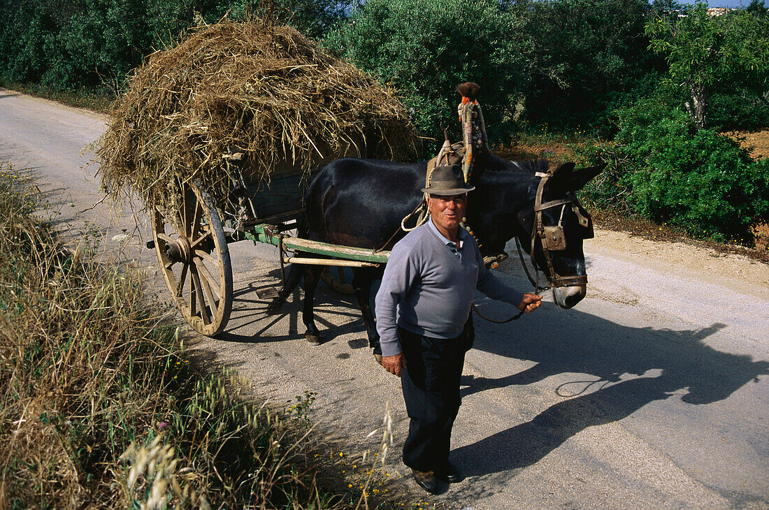 Einheimischer Bauer mit Eselkarren, Carvoeiro, Algarve, Portugal