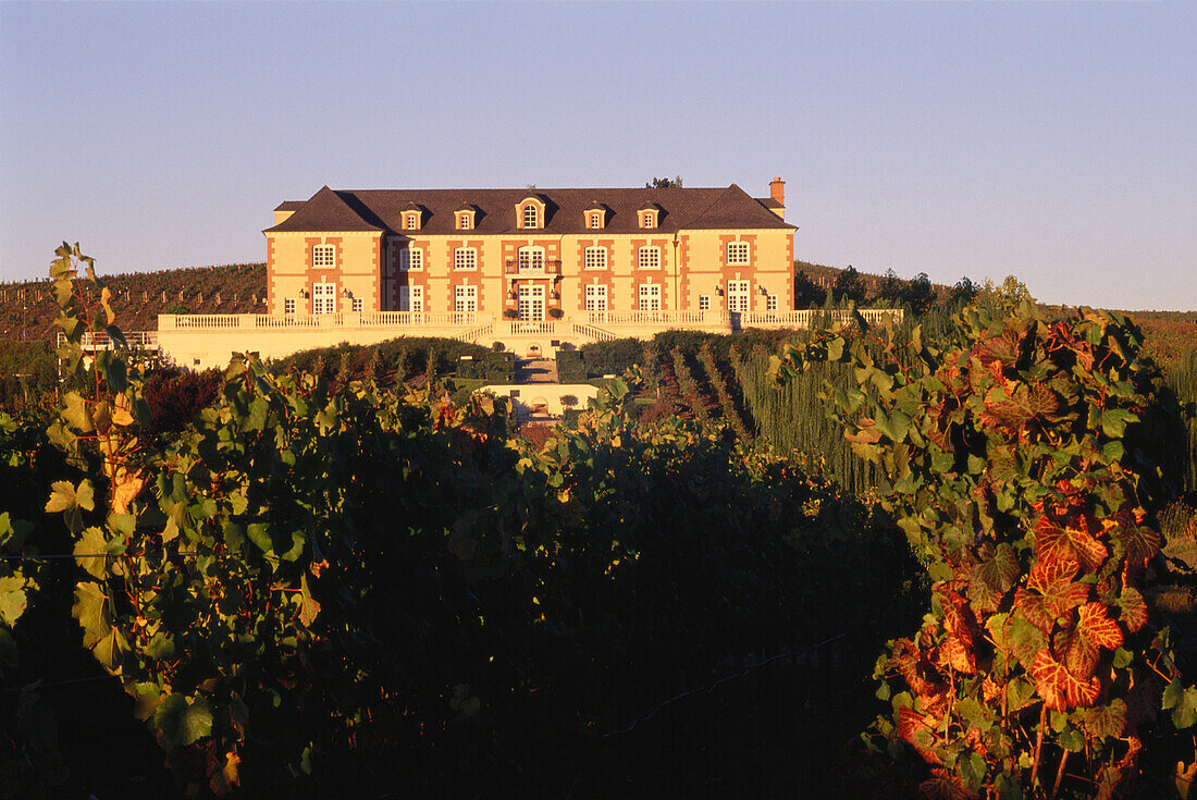 Domaine Carneros, Cameros, Napa Valley, Kalifornien, USA