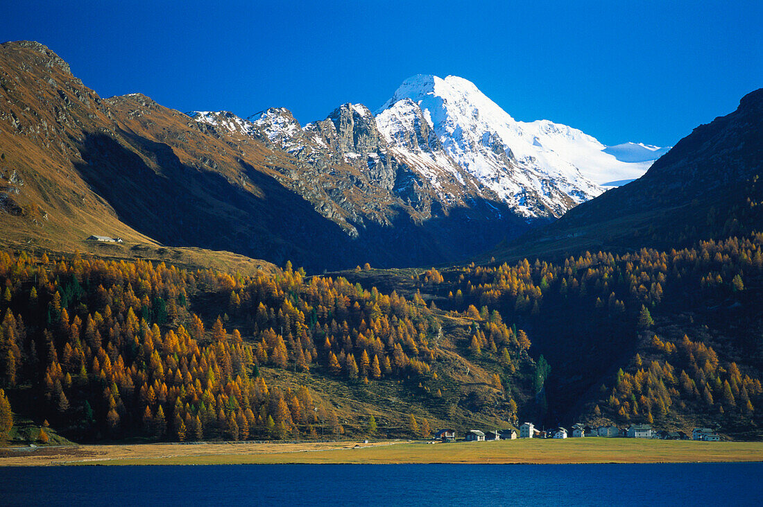 Dorf im Sommer, Maiensäß, Isola, Silser See, Engadin, Graubünden, Switzerland