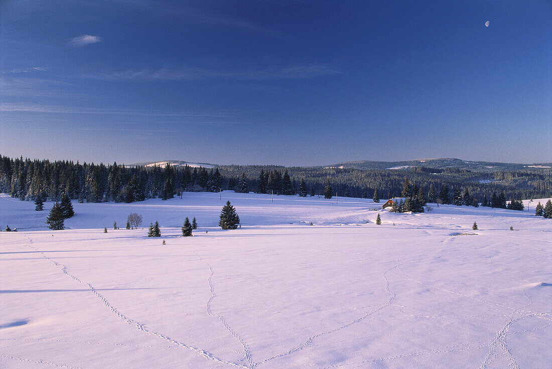 Winterlandschaft über die Hochebene, abgelegene Häuse im Hintergrund, Filipova Hütte, Sumava, Böhmerwald, Tschechien