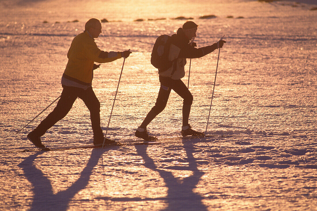 Two men cross country skiing over the Plateau, Filipova Hut, Sumava, Bohemian Forest, Czech Republik