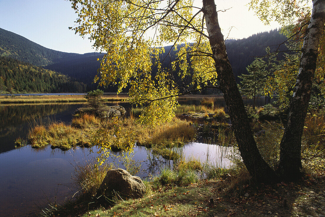 Little Arber Lake in autumn, Bavarian Forest, Upper Palatinate, Bavaria, Germany