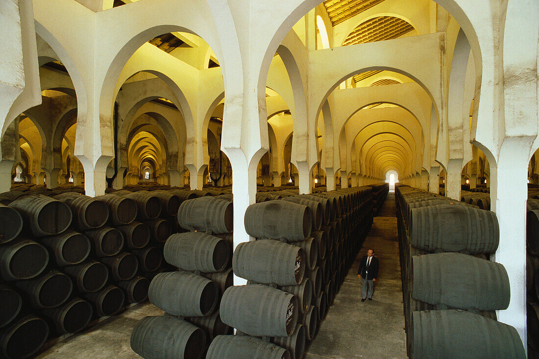In langen Reihen aufgestapelte Sherry Fässer und Hufeisenbögen im riesigen Weindepot La Mezquita, Bodegas Pedro Domeq, Jerez de la Frontera, Provinz Cádiz, Andalusien. Spanien