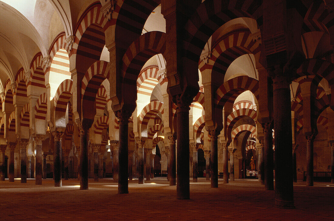 Hufeisenbögen und Säulenwald in der Mezquita, der Großen Moschee in Córdoba, Andalusien. Spanien