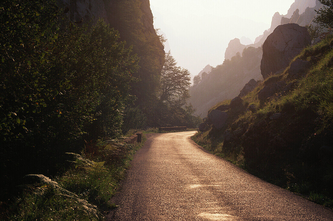 Schmale Landstraße zwischen Felsen und gezackten Bergkämmen gleißt im Sonnenlicht, Parque Nacional de los Picos de Europa, Asturien, Asturias, Spanien