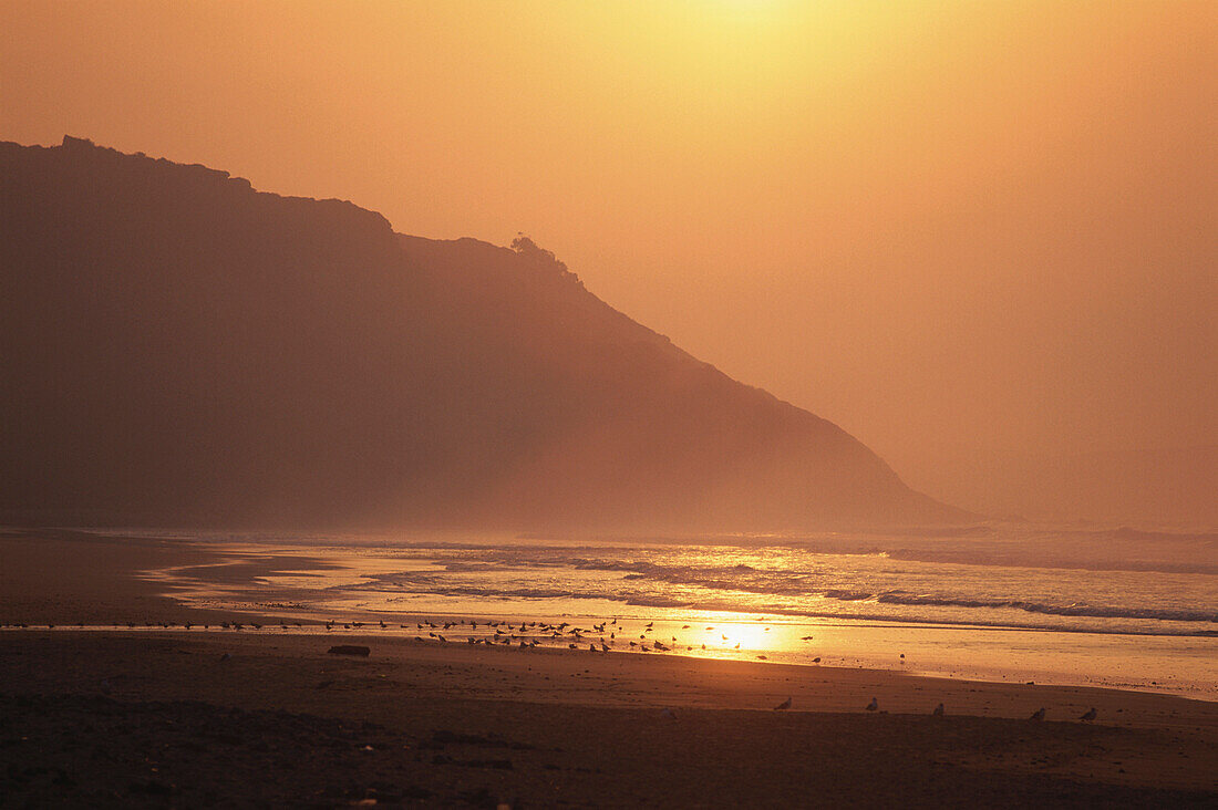 Weiter Sandstrand mit Wasservögeln bei Ebbe in der Abendsonne, Playa de la Vega, Asturien, Asturias, Costa Verde, Golf von Biskaya, Spanien