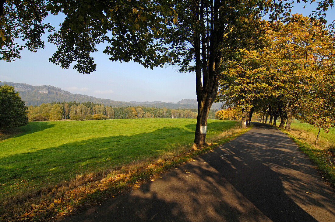 Landscape near Kamenice, Bohemian Switzerland, Czech Republic