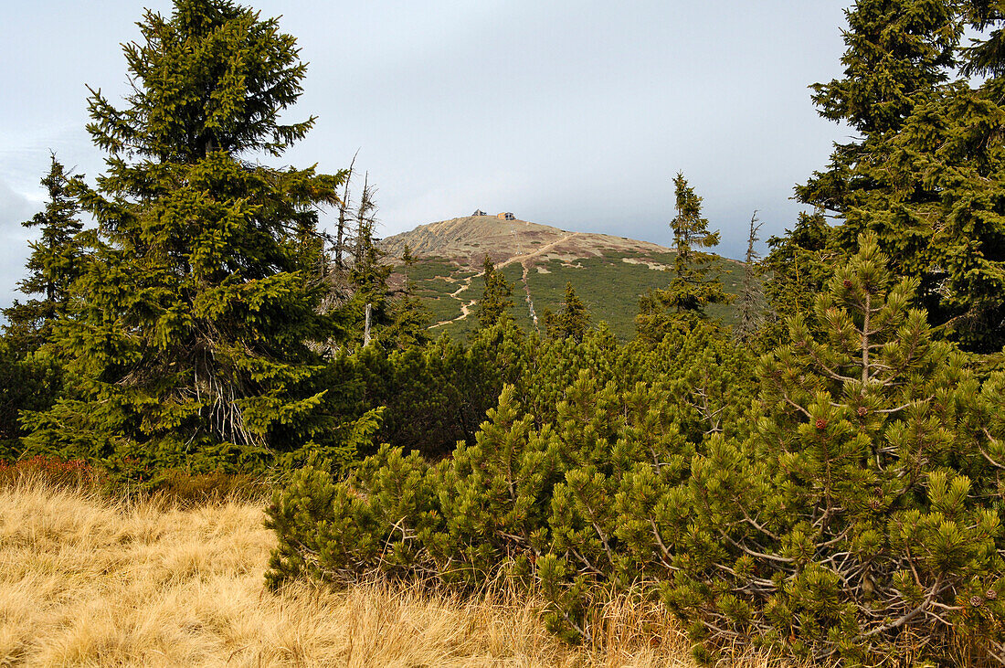 Schneekoppe, Riesengebirge, Tschechien