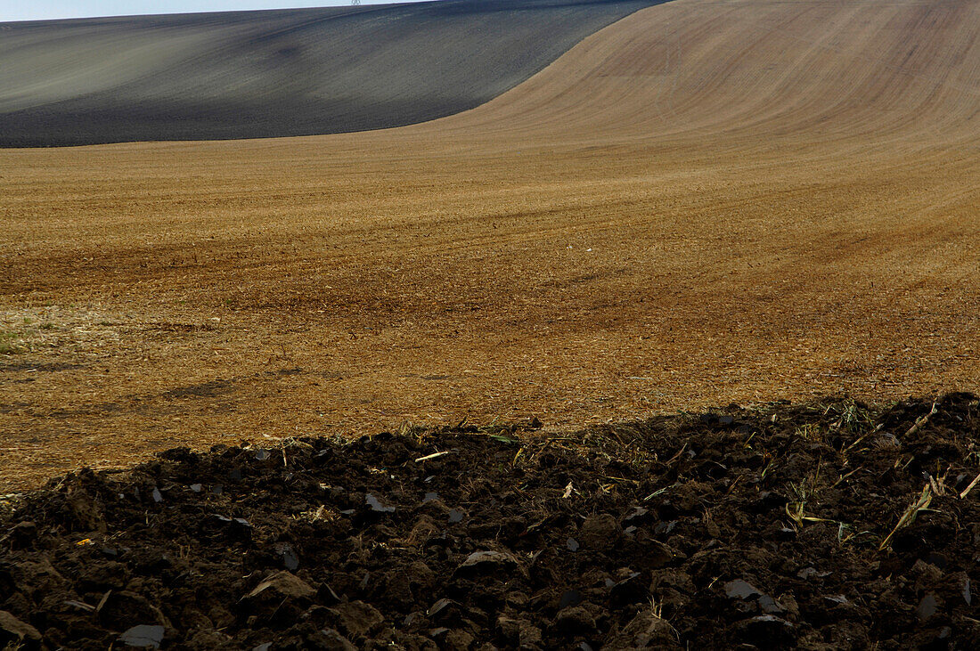 Fields, Slavkov, Austerlitz, Czech Republic