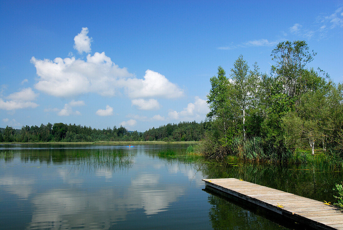 Steg am Fohnsee, Osterseen, Oberbayern, Bayern, Deutschland