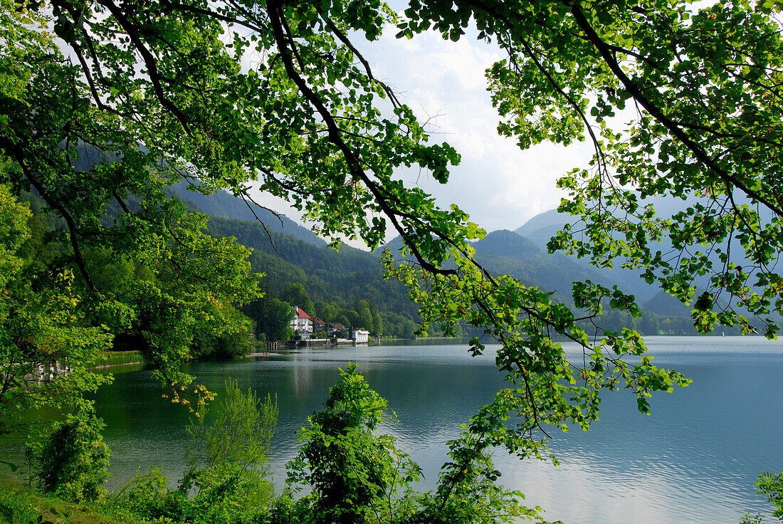 Blick über den Kochelsees, Oberbayern, Bayern, Deutschland