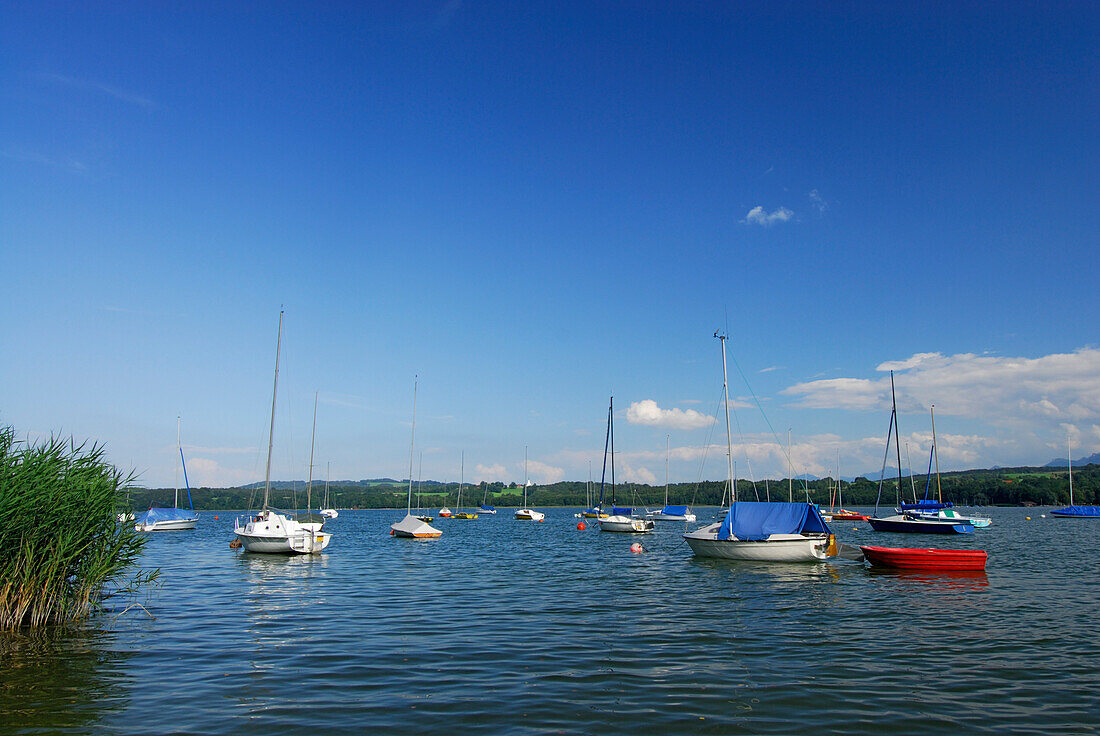 Segelboote am Simssee, Chiemgau, Oberbayern, Bayern, Deutschland