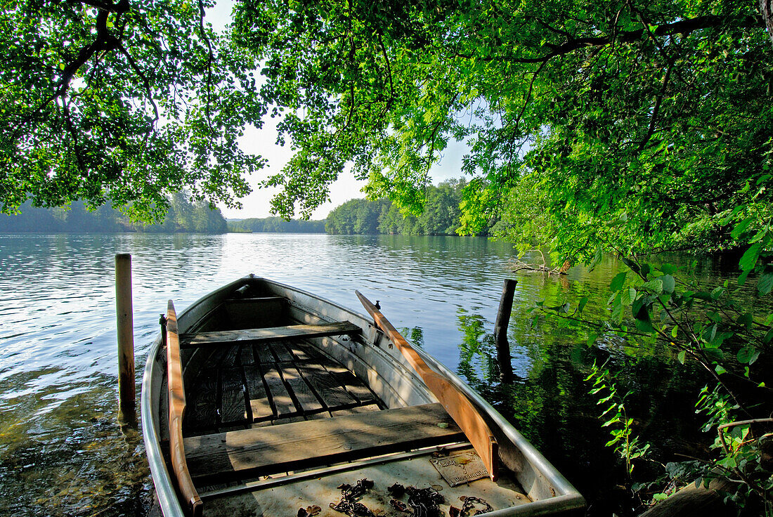 Rowing boat at shore of lake Langbürgner See, Chiemgau, Upper Bavaria, Bavaria, Germany