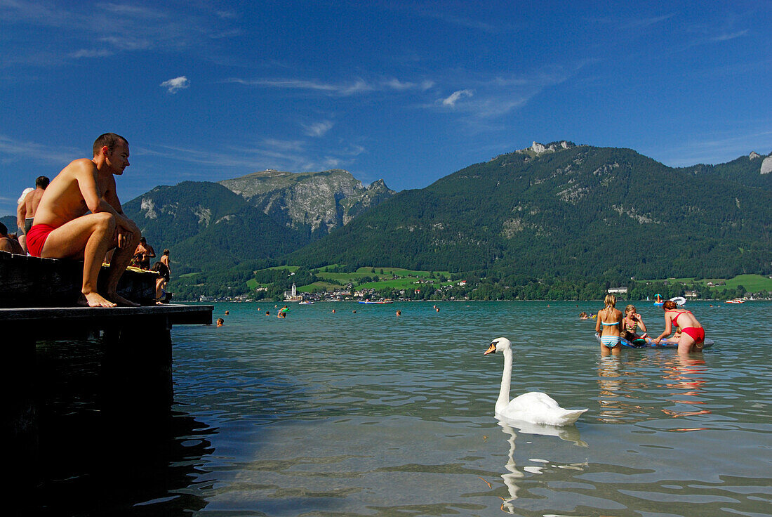 landing stage at lake Wolfgangsee with bathers and swan, view to village of St. Wolfgang and Schafberg, Salzkammergut, Salzburg, Austria