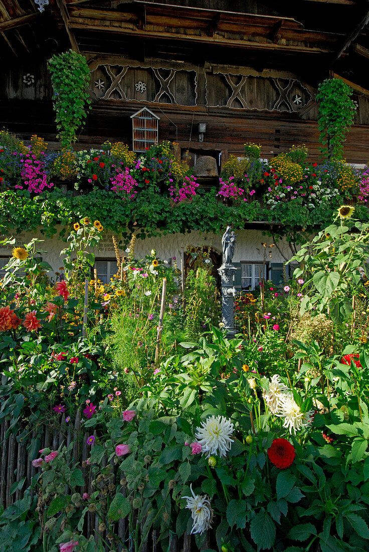 flower garden in front of farmhouse, Petting, lake Waginger See, Chiemgau, Upper Bavaria, Bavaria, Germany