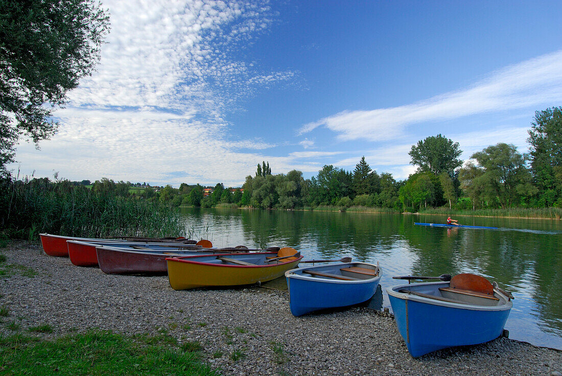 Rowing boats at shore of lake Waginger See, Rupertiwinkel, Upper Bavaria, Bavaria, Germany